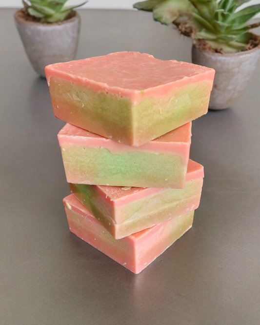 Juicy Watermelon Bar